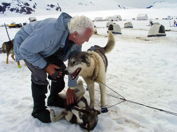 Black Toe, the biggest dog on the glacier